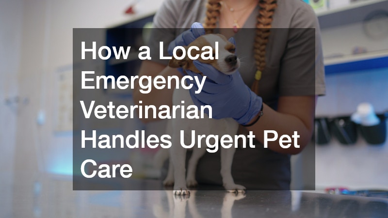 How a Local Emergency Veterinarian Handles Urgent Pet Care